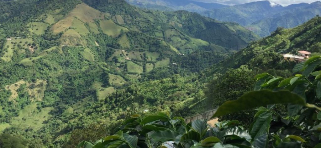 Landscape of the rolling green hills of the Caldas region of Colombia