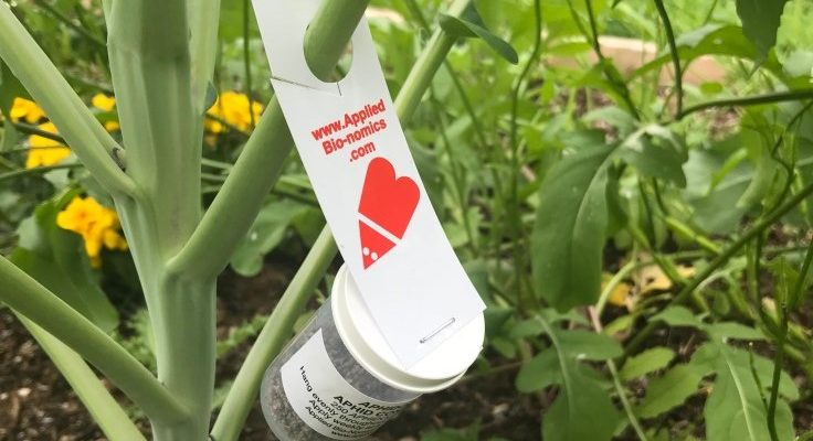 Applied Bio-nomics hanging on a leaf