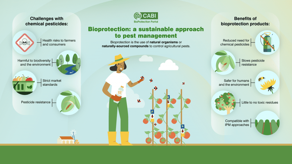 An infographic on biological pest control or 'bioprotection' showing challenges of chemical pesticides and benefits of biocontrol