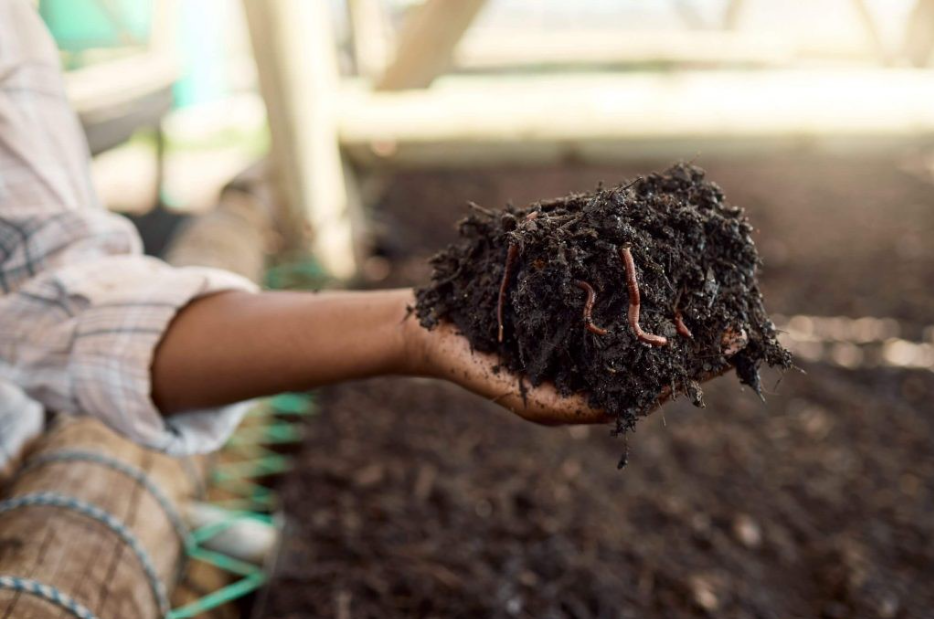 A farmer is holding soil in their hands, with worms visible.