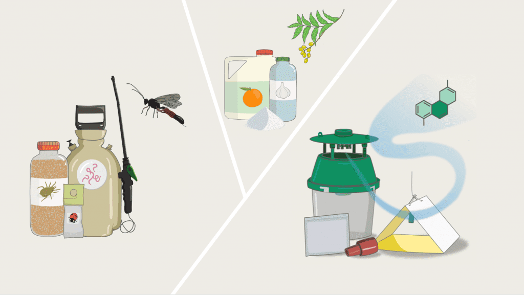 Illustration showing different types of bioprotection products: macrobials, natural substances, and semiochemicals 