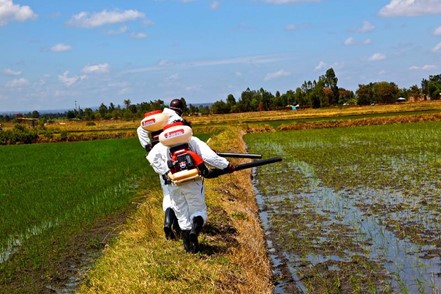 Two people in a field wearing white safety suits using spray equipment on a crop field