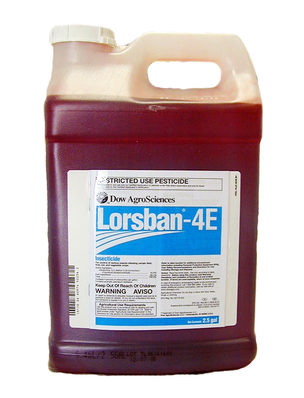 A container of Lorsban, the pesticide based off the neurotoxic chemical chlorpyrifos.
