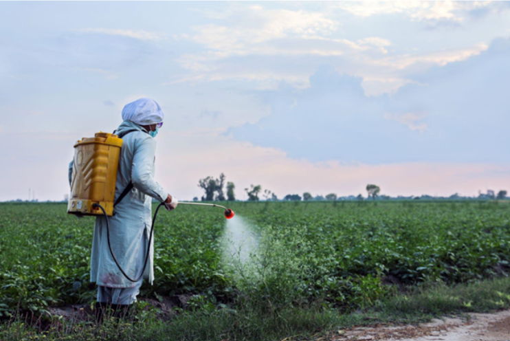 A landscape image of a farmer in a field spraying his crops with a biological control product