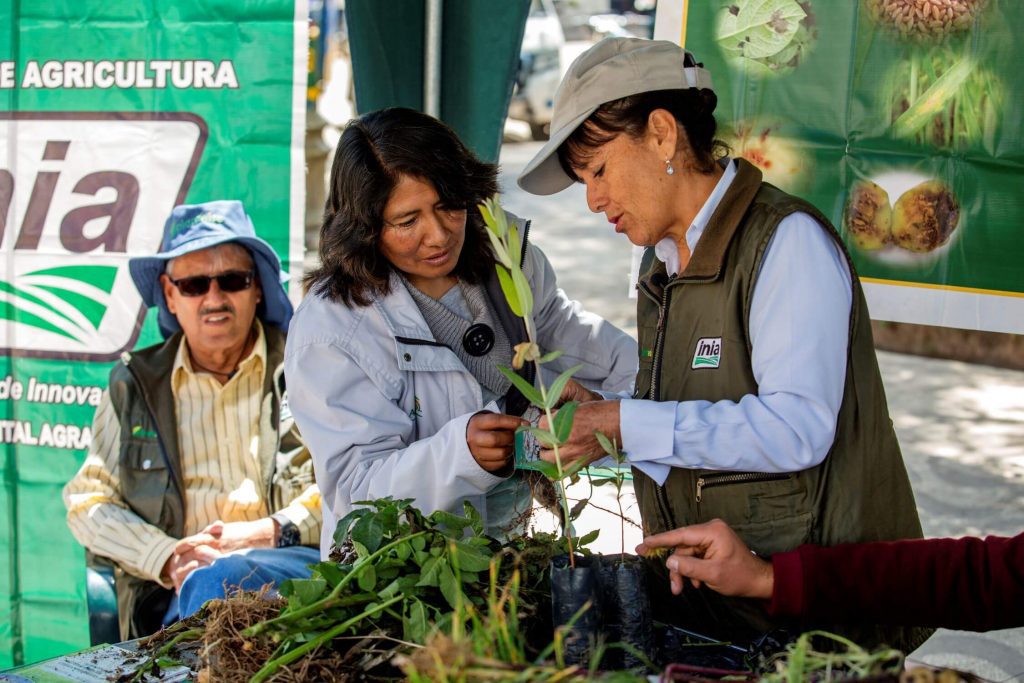 A plant clinic doctor inspecting a plant with a farmer