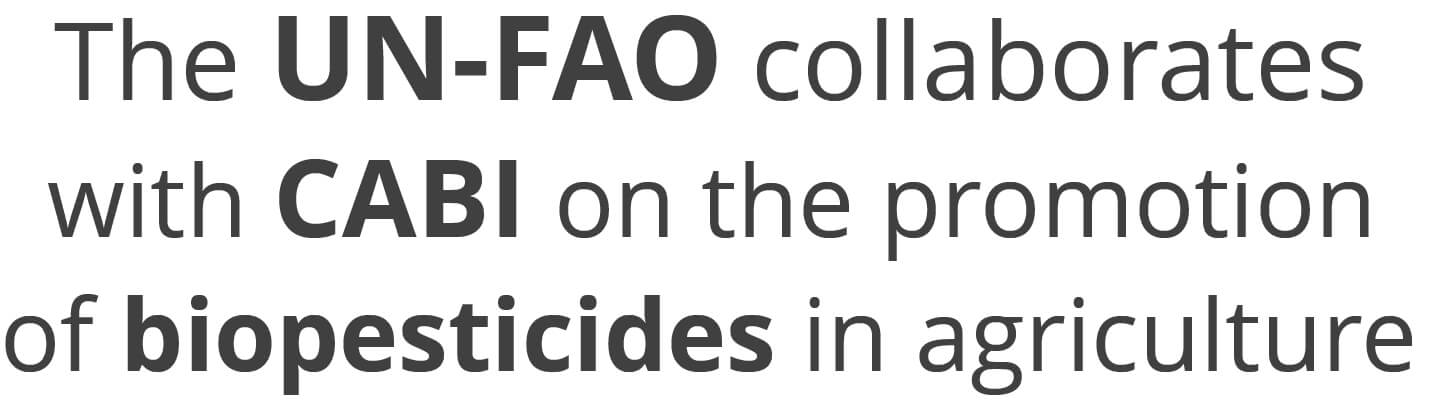 Statement of collaboration between the Portal and the UN FAO